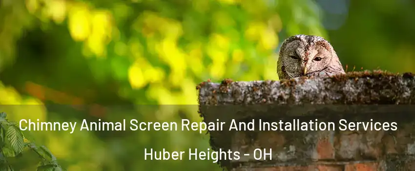  Chimney Animal Screen Repair And Installation Services Huber Heights - OH