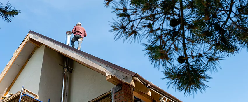 Birds Removal Contractors from Chimney in Huber Heights, OH